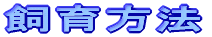 bhr[VvƂ́H